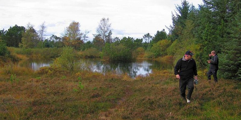 fox_panorama.jpg
