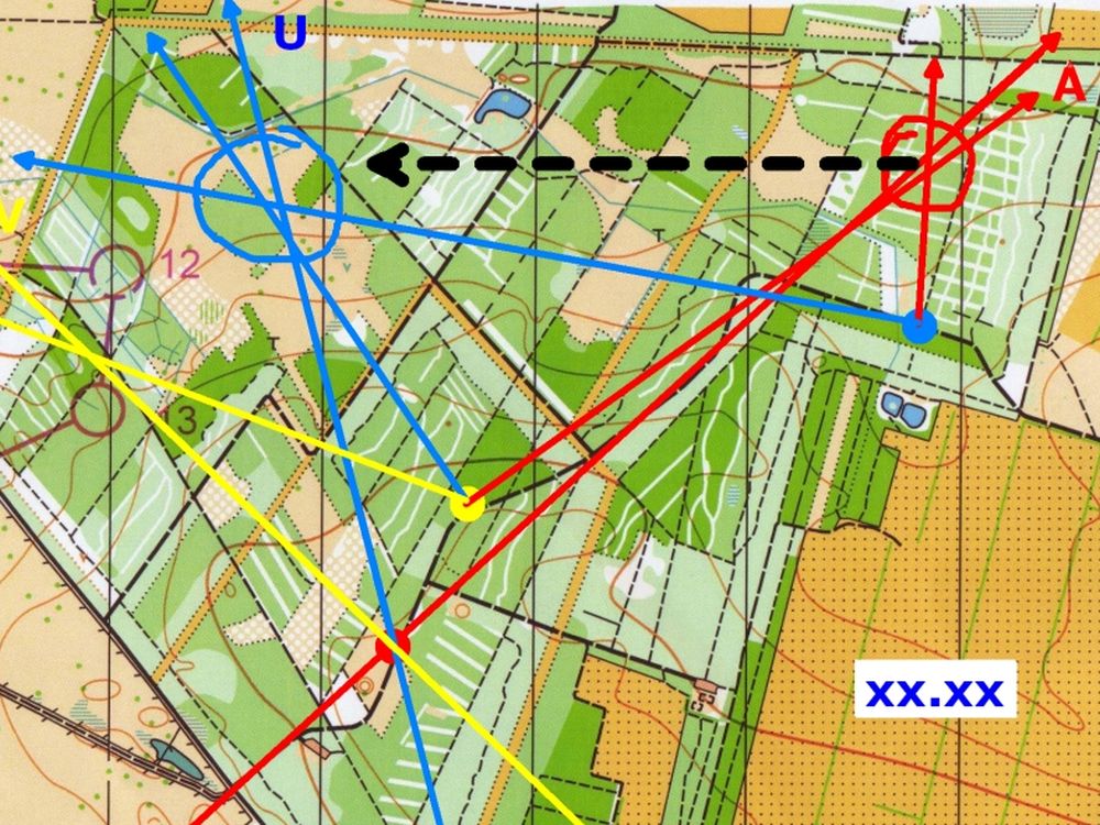 fox_pejling_10.jpg