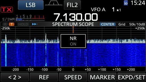 IC7300 rude nr