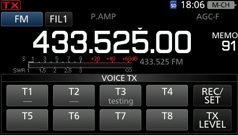 IC9700 T record 08